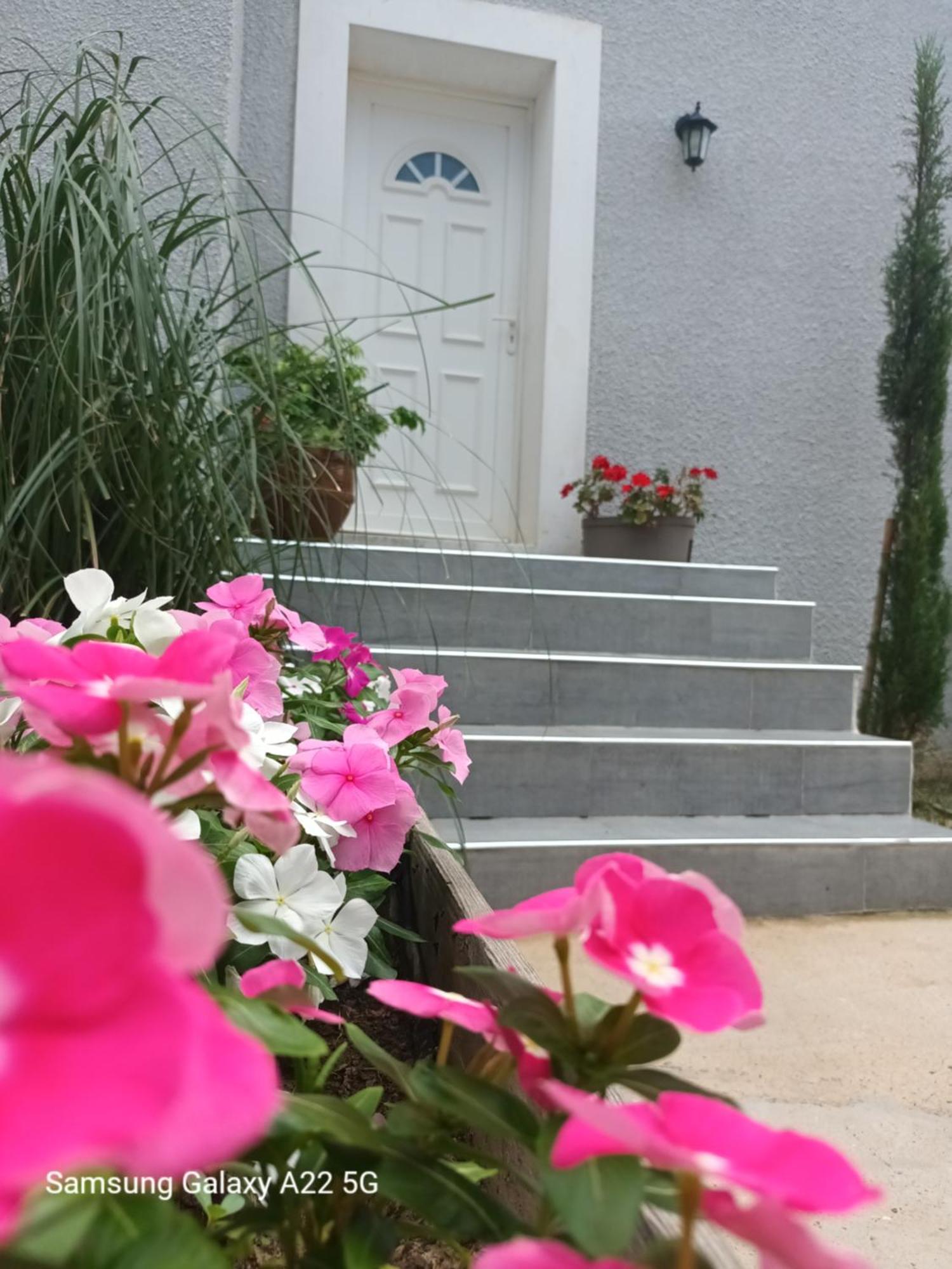 Villa San Salvador Torreilles Plage Kültér fotó
